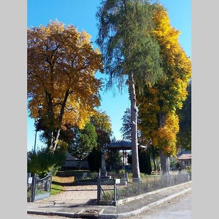Maison Independ. 6 Personnes A 10 Mn De Gerardmer Granges-sur-Vologne Экстерьер фото
