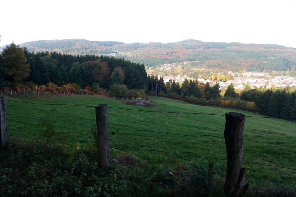 Maison Independ. 6 Personnes A 10 Mn De Gerardmer Granges-sur-Vologne Экстерьер фото