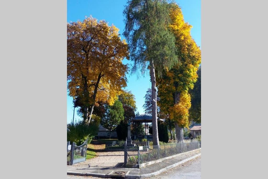 Maison Independ. 6 Personnes A 10 Mn De Gerardmer Granges-sur-Vologne Экстерьер фото